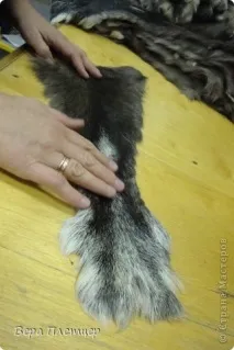 държава пима