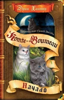 котки серия