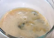 прости ястия