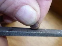 Скарифікація насіння насіння