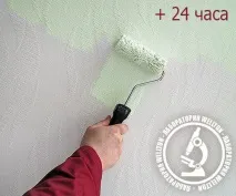 Скільки сохне інтер’єрна фарба на водяній основі, або чому не завжди потрібно вірити скільки