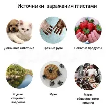 дорослої