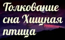 Сонник 🌛 хижий птах приснився до чого сниться хижий птах уві сні - тлумачення снів приснився
