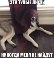 бачимо