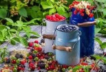 Суцільні бонуси багато