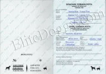 Довідка-аналіз титрантитіл до сказу Україна сказу