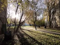 Стати мисливцем, а не звіром, НЕ стати