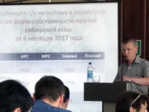 спасяването спасяването