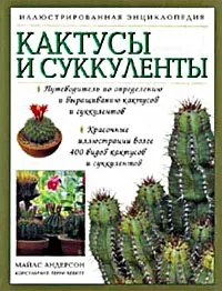 други сукуленти сукулентите