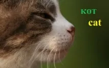 английски английски