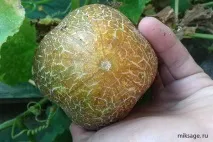 значи значи