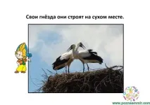 Тематичне заняття Лисиця та журавель, Пізнаємо світ світ