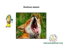 Тематичне заняття Лисиця та журавель, Пізнаємо світ пізнаємо