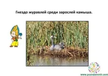 Тематичне заняття Лисиця та журавель, Пізнаємо світ світ