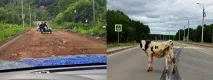 Тест-драйв пікапа Toyota Hilux нового покоління МашиноМанія hilux