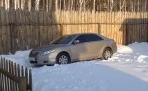 ново ново