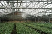 Туманоутворюючі системи у сільському господарстві сільському