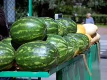 пъпеши кратуни кратуни