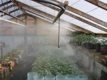 Туманоутворюючі системи у сільському господарстві системи