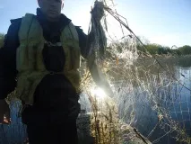 Три організації компенсували негативний вплив на водні біоресурси випуском в Оку та Клязьму. водні
