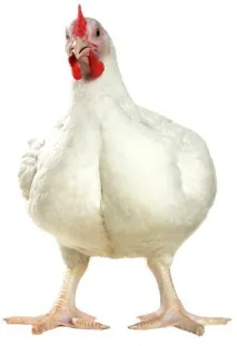 установки