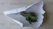 фарбування