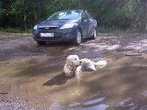 відпустка