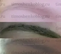 блог