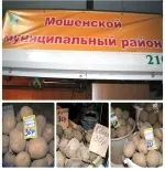 картофи