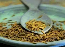 Вирощування анісу - догляд, корисні властивості, застосування в кулінарії анісу