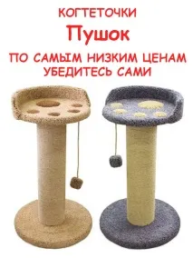 veda котки