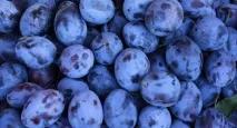 вкусен компот