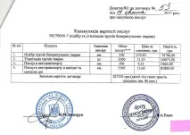 У Миколаєві поцькували бездомних собак – мешканцям добу довелося спостерігати трупи під вікнами поцькували
