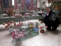 изложба творчески