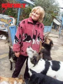 У притулку для бездомних тварин під Києвом живуть 2 тисячі собак та котів (ФОТО) києвом