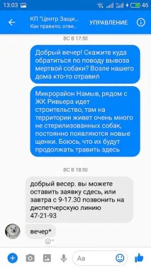У Миколаєві поцькували бездомних собак – мешканцям добу довелося спостерігати трупи під вікнами бездомних