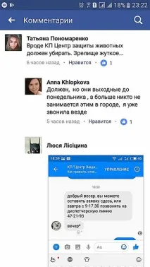 У Миколаєві поцькували бездомних собак – мешканцям добу довелося спостерігати трупи під вікнами миколаєві