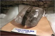 животни вечно