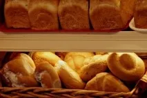 ползи ползи