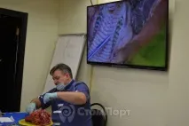 пародонтология пародонтология