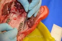 хирургична практика