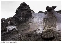 животни замразени