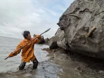 замразени замразени