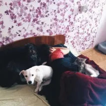 тънка тънка