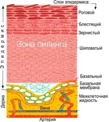 Хімічні пілінги у Курську - Косметологія, Дерматологія - Меділайн, Льгов косметологія