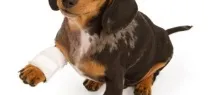 причини лечения