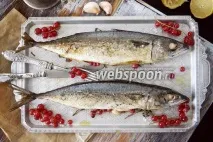 Запечена скумбрія з червоною смородиною рецепт з фото, як приготувати скумбрія