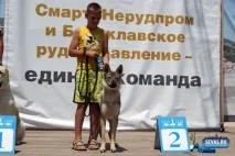 За звання кудлатою та кусачів «Балаклавської перлини» боролися 370 породистих собак. кусачів