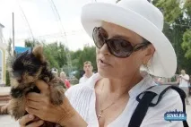 За звання кудлатою та кусачів «Балаклавської перлини» боролися 370 породистих собак. балаклавської