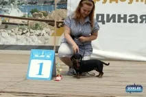 За звання кудлатою та кусачів «Балаклавської перлини» боролися 370 породистих собак. балаклавської